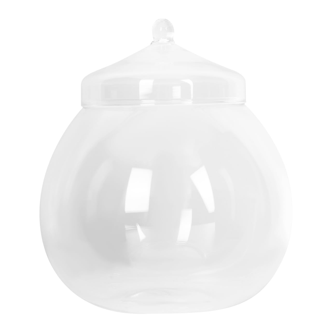 BESPORTBLE Ecological Bottle Glass Terrarium with Lid 7.02 X 5.85 Inch Clear Succulent Planter for Indoor Tabletop Decoration and Diy Micro Landscape