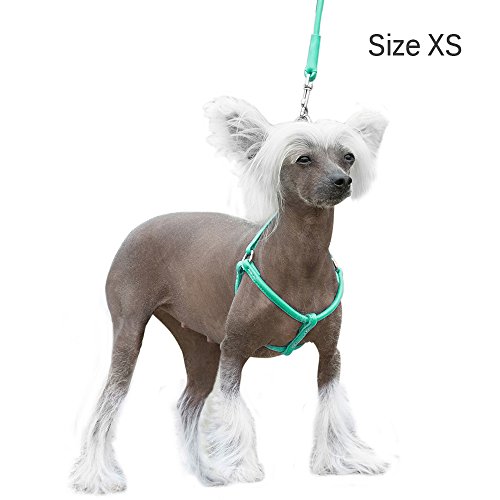 Collardirect Rolled Leather Dog Harness Small Puppy Step-In Leash Set For Walking Pink Red White Blue Green Black Purple Beige Brown Yellow (Brown, Xs) #TOP4