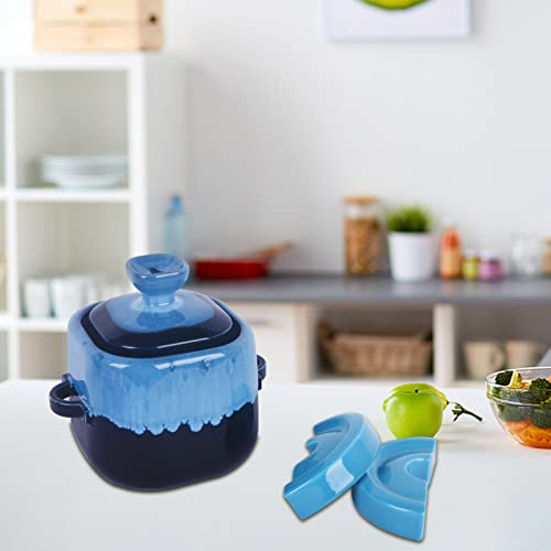 Vencer Wide Mouth Jar Split Fermentation Weight,Fermenting weights for Pickling & Fermentation Crock,Blue,VHF-018B