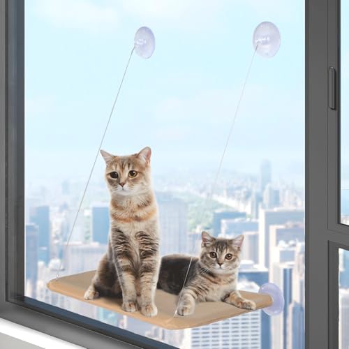 L p[` gp {X^[t L nbN V[g ȒP Lxbh  xbhTCh o Lrlbgp (J[L)