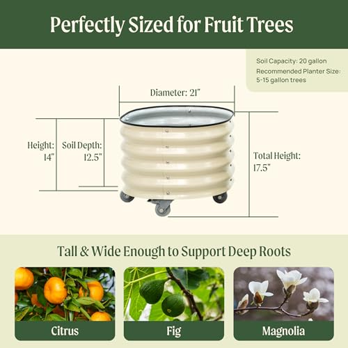 Image of Rolling Metal Citrus Tree Planter Pot, 21″ Round Planter Box for Porch Patio & Backyard, 20 Gallon Large Planter Pot with Wheels for Growing Olive Trees Tomatoes Vegetables and Flowers, Modern Gray