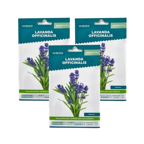 Verdecora Pack 3 sobres de Semillas de Lavanda | Lavandula Angustifolia | Planta Aromática | Ideal para Jardines, Macetas y Huertos Urbanos | Fácil de Cultivar