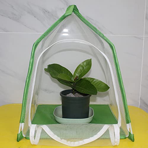 Insectenkooi, fijnmazige sierplanten Huisvormige insectenhabitatkooi voor bidsprinkhanen - Image 4