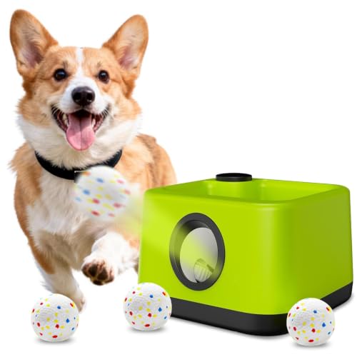 Top Automatic Ball Throwers for Dogs in 2026: Expert Picks