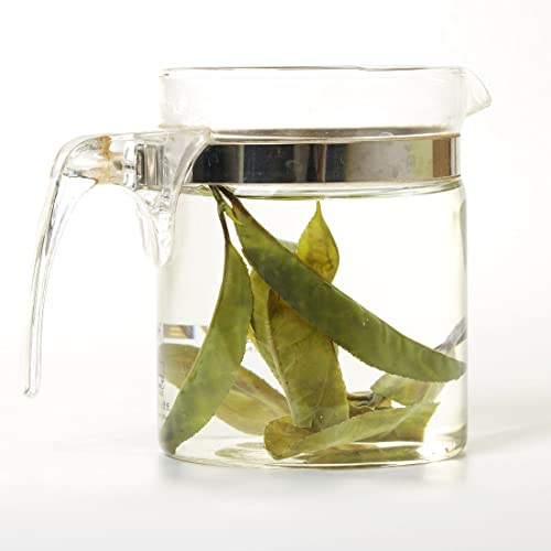 Goartea Needle Ku Ding Tea 100G / 3.5Oz Premium Needle Kuding Tea - Bitter Green Tea - Ku Ding Herbal Tea Chinese Spike Loose Large-Leaf #TOP4