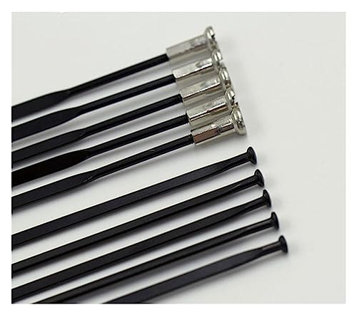 Rayons de vélo VTT route 261mm rayons droits et tétons pour roue