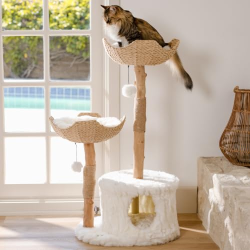 Image of Mau - Modern Cat Tree Tower, Real Branch Wood Condo for Large Cats