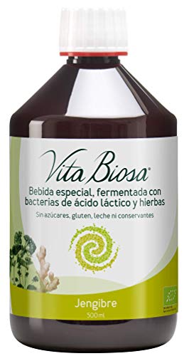 Vita Biosa Jengibre 500 ml