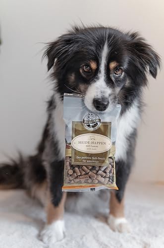 Bellfor Heide-Happen getreidefreie Soft-Snacks für Hunde mit hoher Verdaulichkeit, ohne tierische Nebenerzeugnisse. Soft-Leckerli für Hundetraining, 200 g (Lamm)