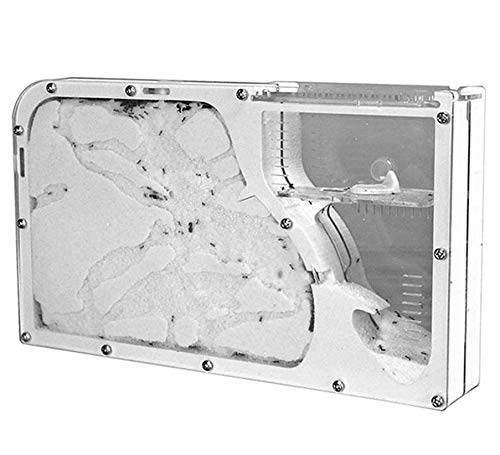 Ant House Ant Farm Nest Large, Ant Farm with Ants and Queen, Feeding Castle Ant World Educational Kit Toy Ant Farm for Kids 24x14x4.5cm (excluding Ants)