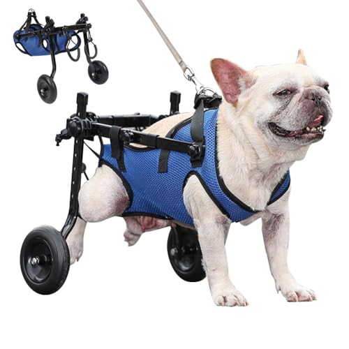 dog wheelchairs