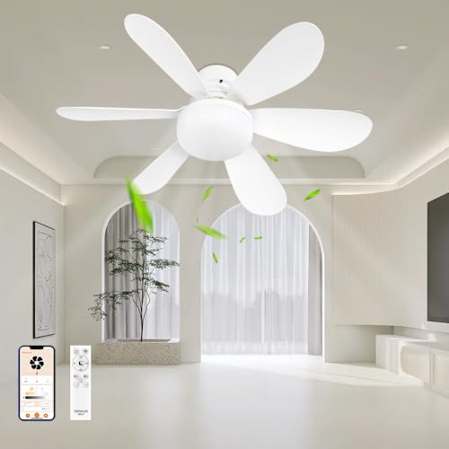 yiKFʒ߁zV[Ot@Cg V[OCg t@ Rt LEDF t]؂ւ DC[^[ É u ^V[Ot@Cg T[L[^[ Cg E26 V V[Ot@Cg X}z