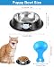 Ffutternapf Katze, 3 Stück Rutschfeste Edelstahl-Näpfe, Fressnapf Wasserschale für Katzen und Kleine Hunde, Mehrweg-Fütterungsschüssel