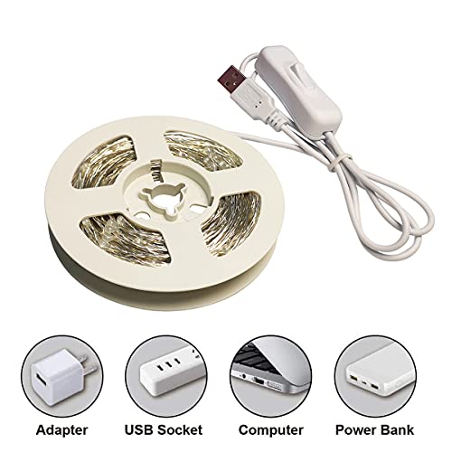 Image of RUICHEN Silver Wire 66 Ft 200 LED USB Fairy String Lights with On /Off Switch (Pink)