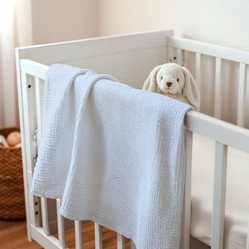 Image of Baby Blankets for Boys, Soft Nursery Minky Blankets with Muslin and Dotted Fleece Back 30x40 inches, Receiving Bed Quilt for Newborn, Infants, Toddlers (Light Blue)