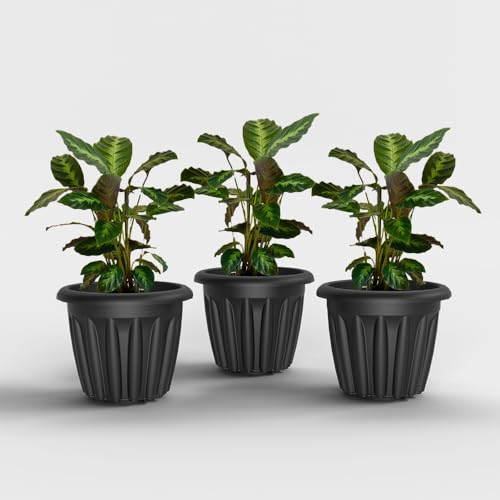 Image of YUCCABE ITALIA SHERA Floot Plastic Flower Pot Round Planter Suitable for Indoor Outdoor Kitchen Garden (Grey, 12 INCH - 3 Pcs)