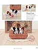 Making Pipe Cleaner Pets (Design Originals) Learn How to Twist, Bend, and Shape 23 Cute Dog Breeds - Terriers, Spaniels, Chihuahuas, Labrador Retrievers, Schnauzers, Pugs, Corgis, and More [BOOK ONLY] #3
