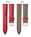 BINLUN Leather Watch Bands Quick Release Premium Calfskin Replacement Watch Strap Multicolors Watchbands for Men Women(21mm,Red)