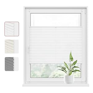 WOLTU Plissee Klemmfix ohne Bohren 50x100cm (BxH) Weiß Faltrollo Plisseerollo mit Klemmträger Lichtdurchlässig, Jalousie Sichtschutz und Sonnenschutz Easyfix Rollo für Fenster & Tür