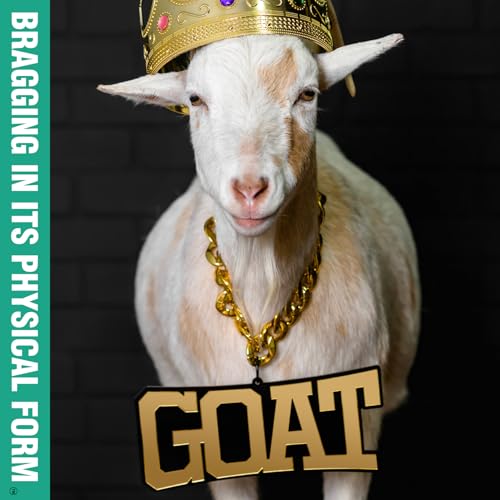 TrophySmack GOAT Turnover Chain - Chrome Gold & Black Acrylic (Greatest of All Time)4