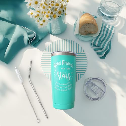 Panspace Insulated Tumbler with Straw
