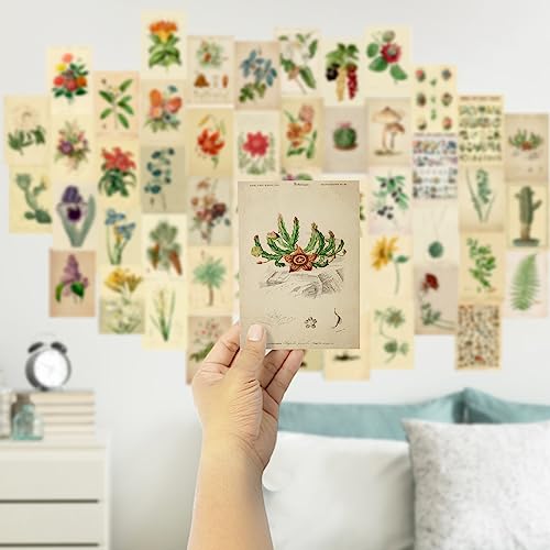 Fardes Witchy Home Decor, Aesthetic Vintage Botanical Decor Prints thumb #2