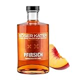 Böser Kater
