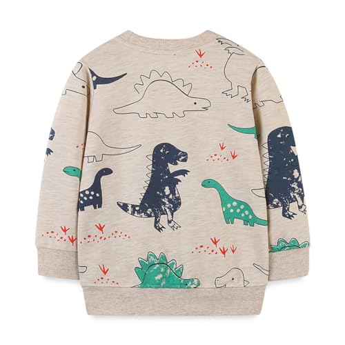 Boys Sweatshirts Long Sleeve Sweatshirts T-shirts Crew Neck Cotton Casual Sweatshirts Cartoon Tops for Boys-362