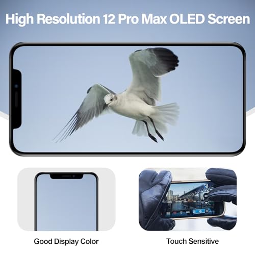 Écran tactile OLED iPhone 12 Pro Max bloc complet A2411 kit - 6
