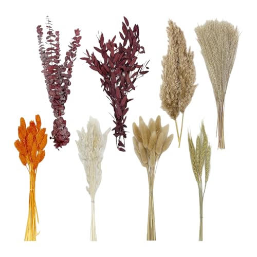 Ramo artístico de flores secas 110 pcs con pasto pampas miniatura 5