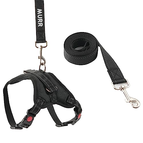 Small dog harness no pull, puppy harness with lead