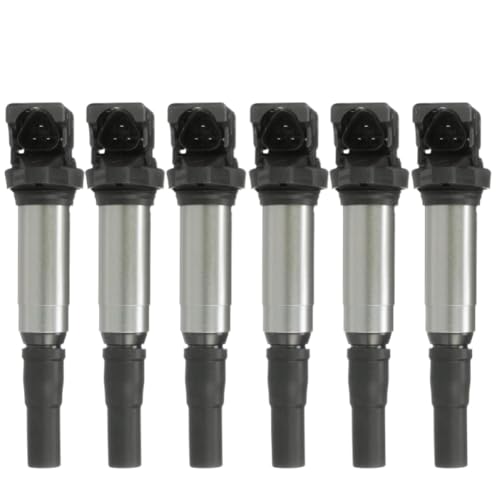 �C�O�j�b�V�����R�C�� E60 E61 F10 F18 F11 E39 F07 520i 523i 525i �ƌ݊������� - OEM 12138616153 12137594596 �ƌ��� - �ʂ܂��͍ő� 6 �̃Z�b�g�Ƃ��Ĕ̔�(6pcs)