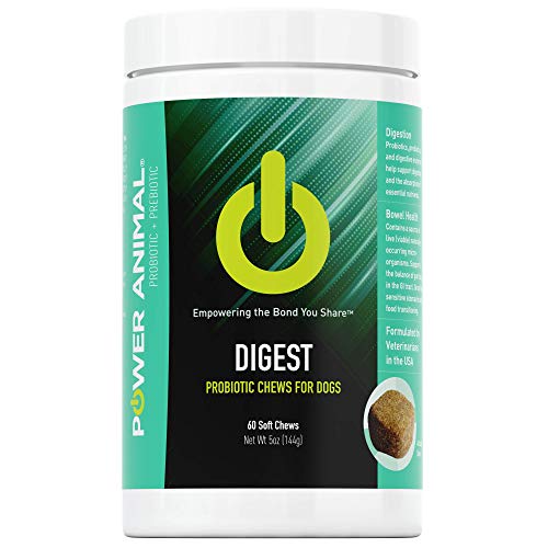 POWER Animal Digest™ Probiotic Chews for Dogs - Probiotics Prebiotics Digestive Enzymes Supports Digestion - Ideal for Sensitive Stomachs - Veterinarian Formulated - Made in USA - All Breeds and Sizes