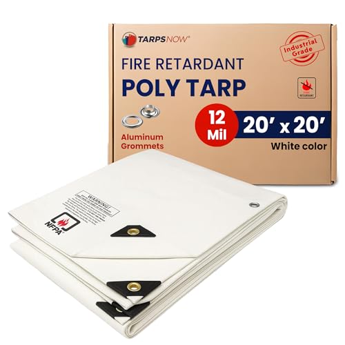 Tarps Now - Lonas de polietileno ignífugas con ojales (20 x 20 pies), lonas resistentes, impermeables, multiusos, para patio al aire libre, tienda de campaña, camping, lona blanca