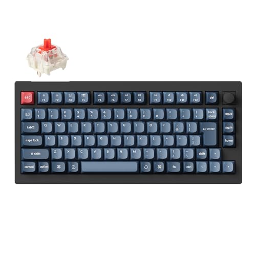 yKizKeychron V1 Max QMK/VIACXEJX^JjJL[{[hA2.4 GHz/Bluetooth 5.1/LڑAJISȈ󎚂ȂCAEgARGBCgAzbgXbvΉGateron JupiterJjJ