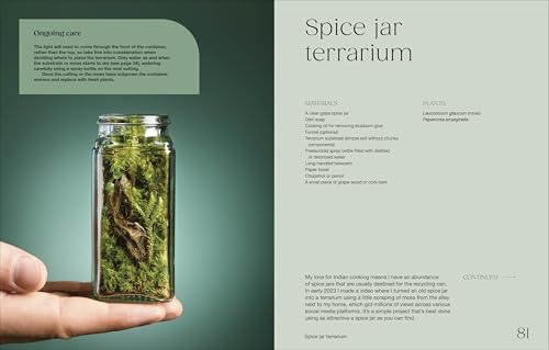Hello Tiny World: An Enchanting Journey into the World of Creating Terrariums - Image 6