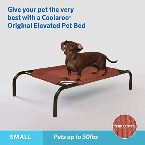 Image of Coolaroo Original Elevated Dog Bed - Breathable Off-The-Ground Pet Bed with Cooling Fabric, Joint Relief & Moisture-Resistant Fabric, 100% Recyclable, Easy Clean, Terracotta, Small