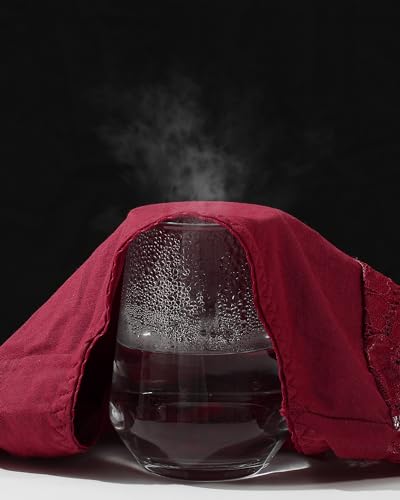 6 Pack Cotton Bikini Womens Underwear Hipster Lace Panties Soft Stretch Breathable Low Rise S-XL4