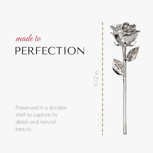 Forever-Rose-Real-Platinum-Rose-Genuine-One-of-a-Kind-Rose-Hand-Dipped-in-Platinum-Roses-to-Last-a-Lifetime