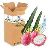 Rosand Farms - White Dragon Fruit Live Rooted Vine Cuttings | Self-Fertile | 2-Count of White Flesh Pitahaya or Hylocereus Undatus | Edible Tropical Fruit Cactus Plant (12" to 14")