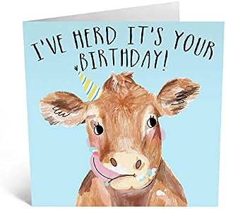Central 23 - Birthday Card for Her - 'Herd It's Your Birthday' - Animal Happy Birthday for Him - Funny Cow Pun - Comes with Cute Stickers