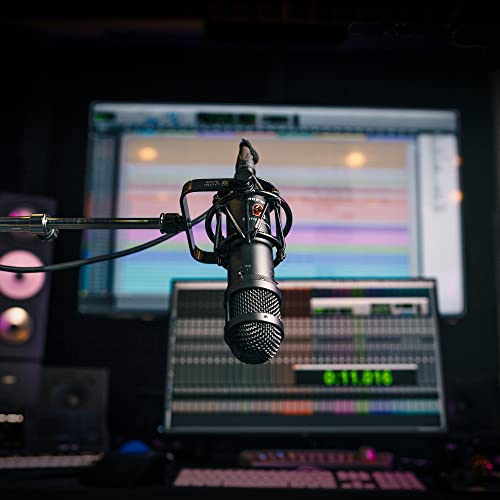 Lauten Audio LS-208 の商品画像 4