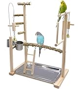 Acsist Bird Playground Parrot Playstand Bird Perch Stand Gym Natural Wood Play Stand with Swing L...