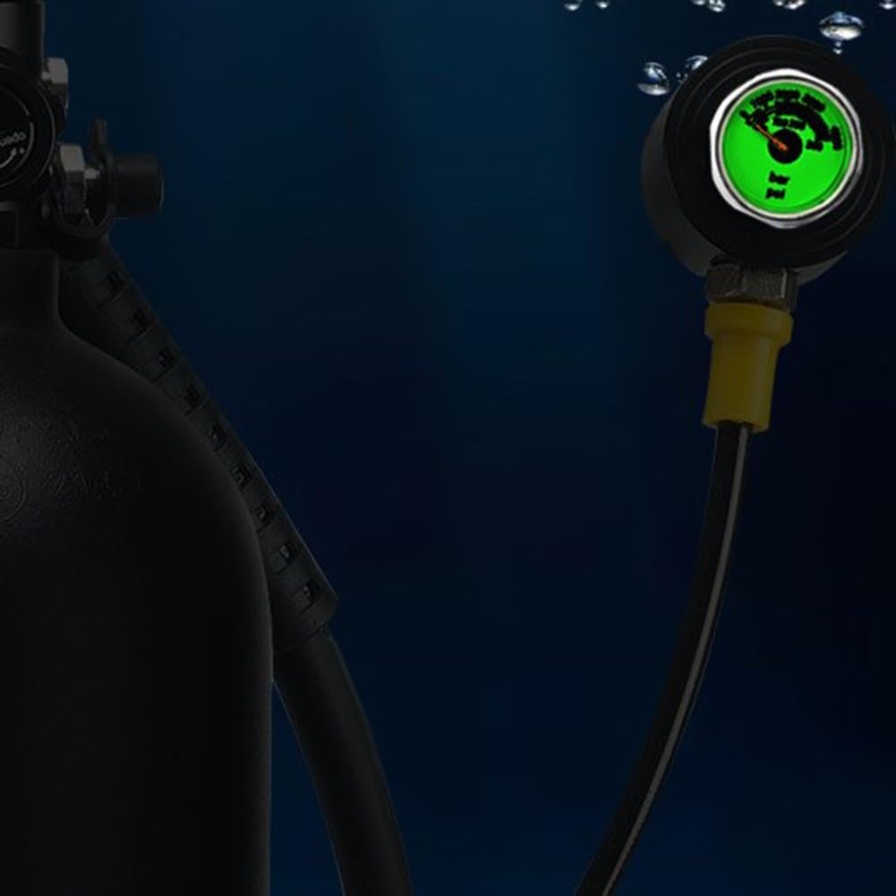 Tauch-Manometer, M10 x 1, Gewinde mit leuchtendem Zifferblatt, Edelstahl, wasserdicht, widerstandsfähig, Testgerät für genaue Tankdruckmessung