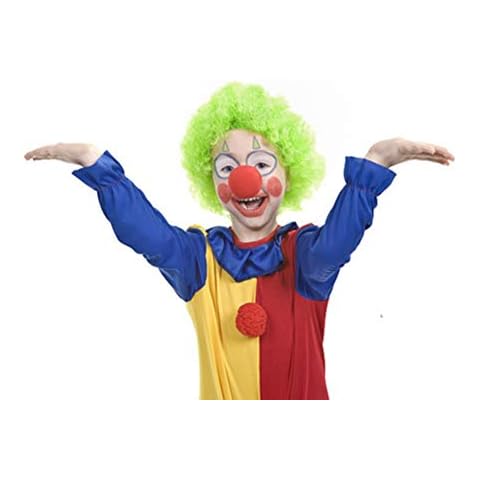 Poluka 1Piece Clown Wig Funny Unisex Kids Adults Wig for Fans Clown Cosplay Costume Magic Dress Party Supplies Halloween Party Favors Stage Performance Props-Green,One Size Cover