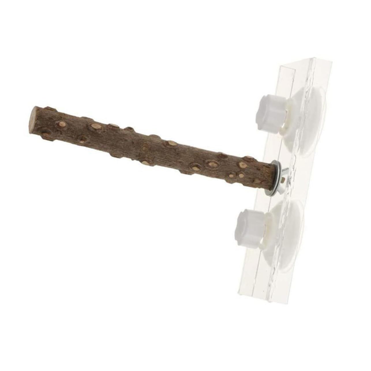 BESPORTBLE 2 Pcs Parrot Toys for Small Medium Birds Suction Cup Stand Portable Training Stand Ladder