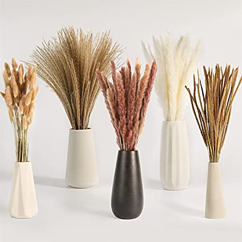 2 Pcs Grama de cauda de coelho | Caudas de coelho cuidadosamente escolhidas a dedo flores secas - Fl