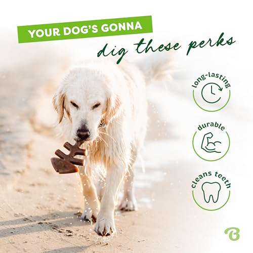 Benebone Fishbone Durable Dog Chew Toy for Aggressive Chewers, Real Fish, Made in USA, Large - Image 4