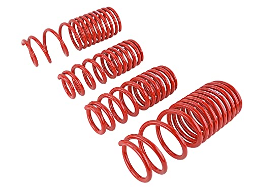 Skunk2 519-05-1630 Lowering Spring For Honda Accord #TOP2
