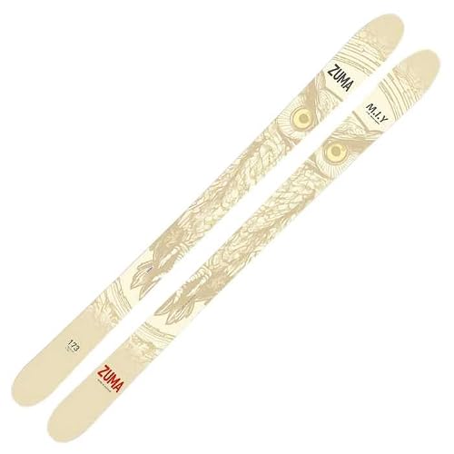 フリーライド スキー 板」の人気商品一覧・価格比較 - 価格.com フリーライド スキー 板」の人気商品一覧・価格比較 - 価格.com